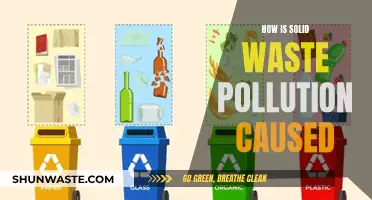 Unveiling the Sources: Understanding Solid Waste Pollution