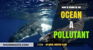 Ocean Noise: A Harmful Pollutant