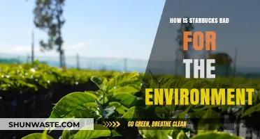 Starbucks' Environmental Impact: Uncovering the Dark Side of Your Coffee Fix