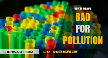 The Dark Side of Straws: Harming Our Planet