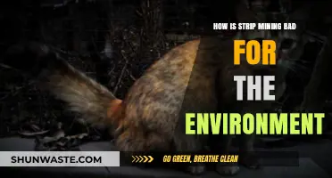 Strip Mining's Devastating Environmental Impact: Destruction, Pollution, and Ecosystem Loss
