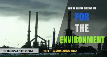 Sulfur Dioxide's Environmental Impact: Harmful Effects and Ecological Consequences