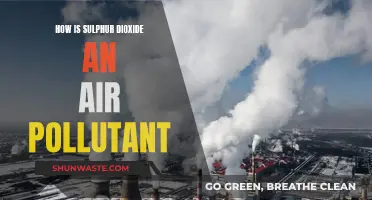 Sulphur Dioxide: A Dangerous Air Pollutant and Why?