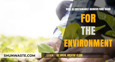 Sustainable Agriculture: Nurturing the Planet for a Greener Future