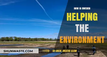 Sweden's Green Revolution: Innovative Environmental Initiatives Leading the Way