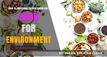 Vegetarian Diet: A Sustainable Choice for a Greener Planet