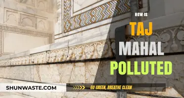 The Taj Mahal: A Monument Polluted