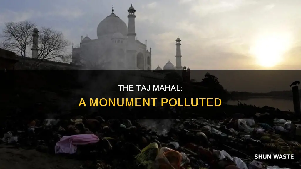 how is taj mahal polluted