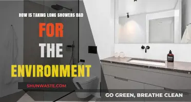 Long Showers' Hidden Cost: Environmental Impact and Water Conservation Tips