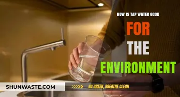 Eco-Friendly Hydration: Why Tap Water Benefits Our Environment
