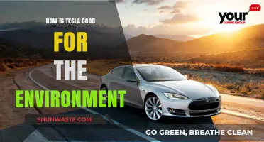 Tesla's Eco-Impact: Sustainable Innovations Driving a Greener Future