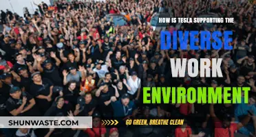 Tesla's Commitment to Fostering a Diverse and Inclusive Workplace