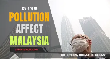 Air Pollution's Impact on Malaysia's Environment and Health