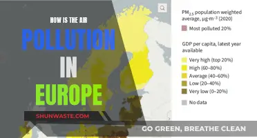 Air Quality in Europe: A Comprehensive Overview