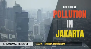 Jakarta's Air Pollution: A Troubling Reality