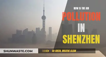 Shenzhen's Air Quality: A City's Battle