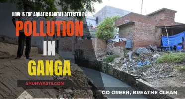 Ganga Pollution: Impact on Aquatic Life