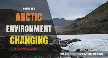 Arctic's Rapid Transformation: Climate Impacts and Ecosystem Shifts Unveiled