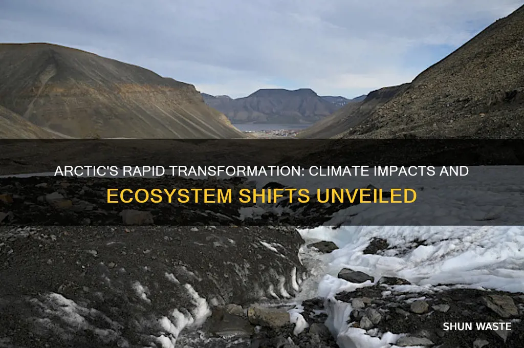 how is the arctic environment changing
