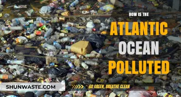 The Atlantic Ocean: Polluted and Plundered