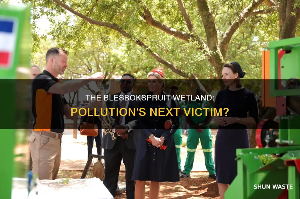 how is the blesbokspruit wetland threatened by pollution