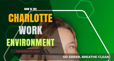 Exploring Charlotte's Work Environment: Culture, Opportunities, and Employee Experience