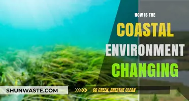Shifting Shores: Understanding the Transforming Coastal Ecosystems and Impacts