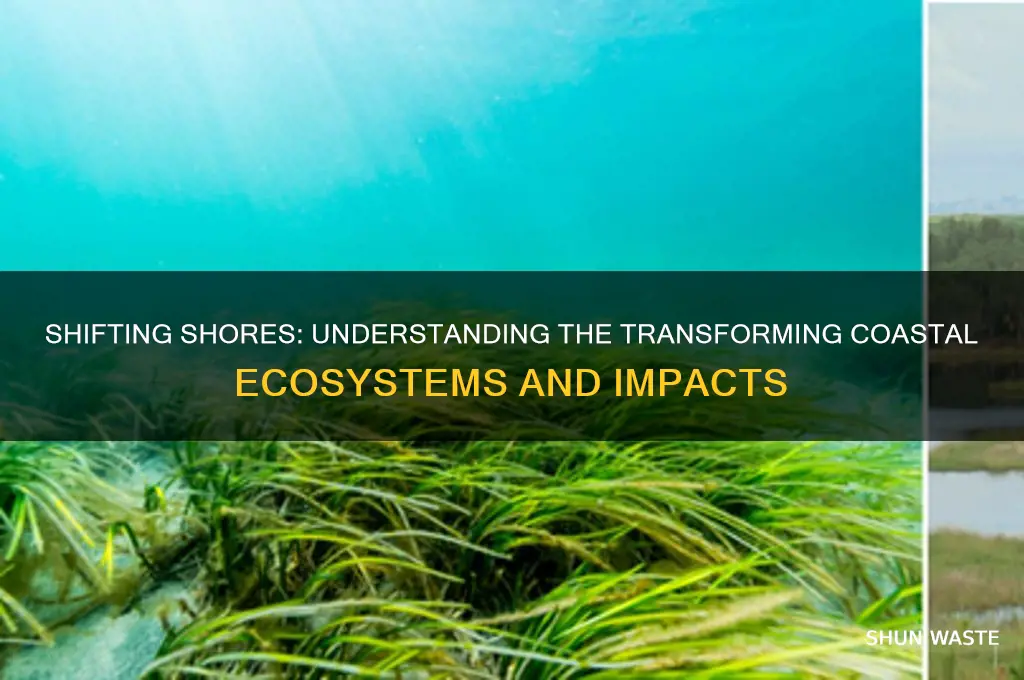 how is the coastal environment changing
