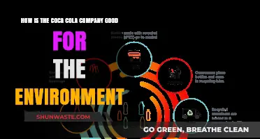 Coca-Cola's Eco-Friendly Initiatives: Sustainable Practices for a Greener Future