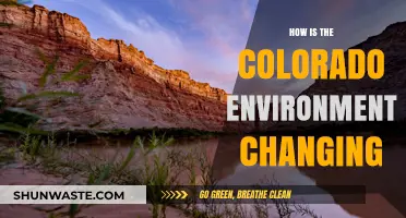 Colorado's Shifting Landscapes: Climate, Wildlife, and Ecosystem Transformations