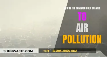 Cold and Pollution: A Dangerous Mix