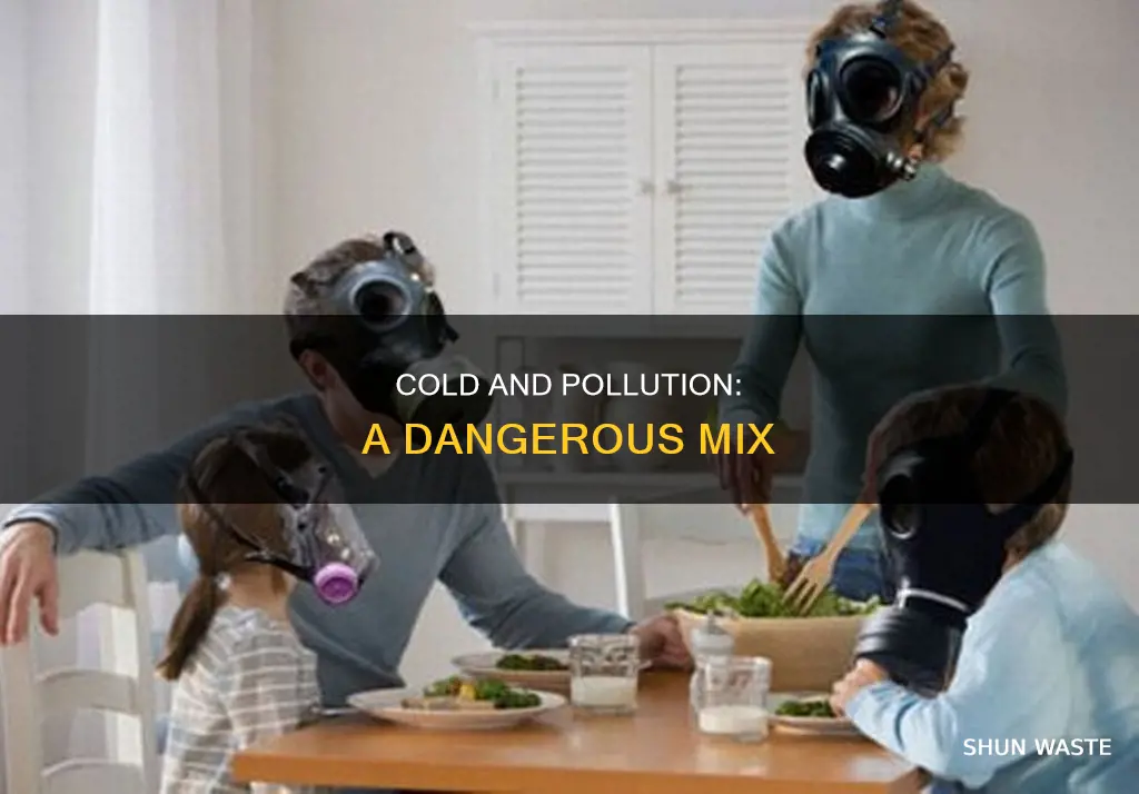 how is the common cold related to air pollution