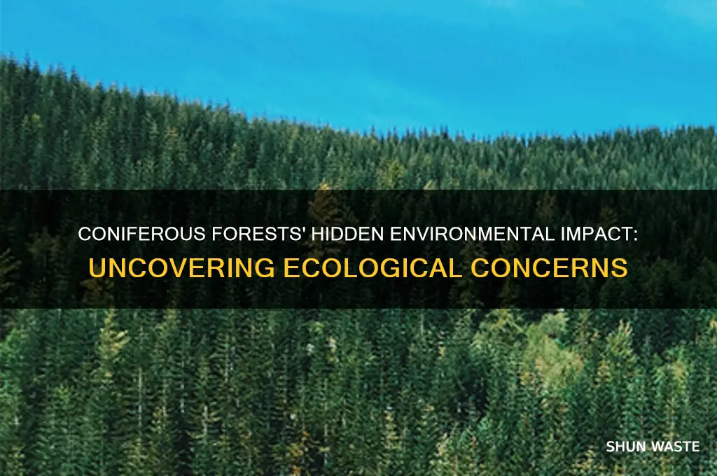 how is the coniferous forest bad for the environment
