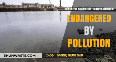 Connecticut River Watershed: Pollution's Devastating Impact