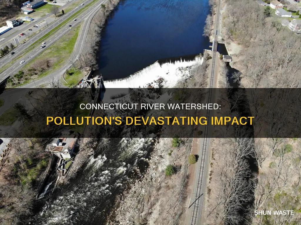 how is the connecticut river watershed endangered by pollution