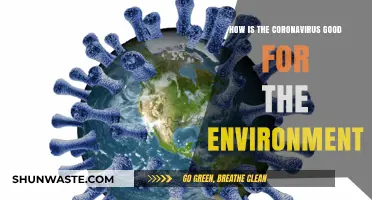 Coronavirus' Unexpected Silver Lining: Environmental Benefits Amid Global Pandemic