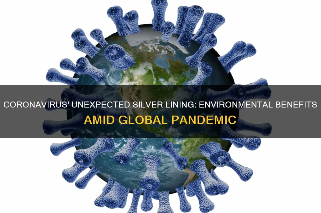 how is the coronavirus good for the environment