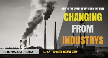Industries' Impact: How the Environment Continues to Evolve Rapidly