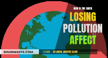 The Earth's Pollution Loss: Impact and Insights