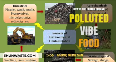 Earth's Ground Pollution: Toxic Vibes in Food