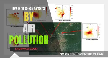 Air Pollution's Economic Impact: A Costly Affair