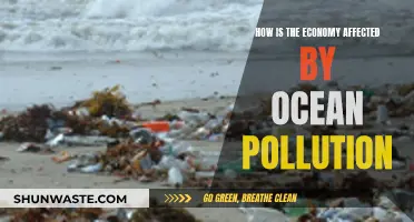 Ocean Pollution's Impact on the Global Economy