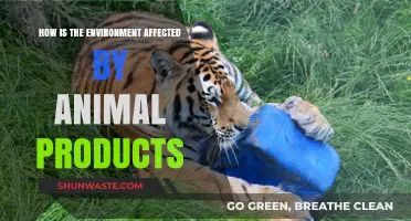 Animal Products' Environmental Impact: A Comprehensive Analysis of Ecological Consequences