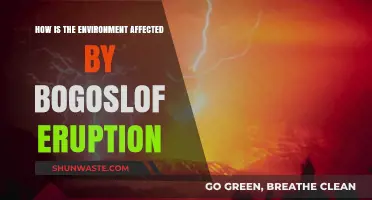 Bogoslof Eruption's Impact: Environmental Consequences and Ecological Changes Explored