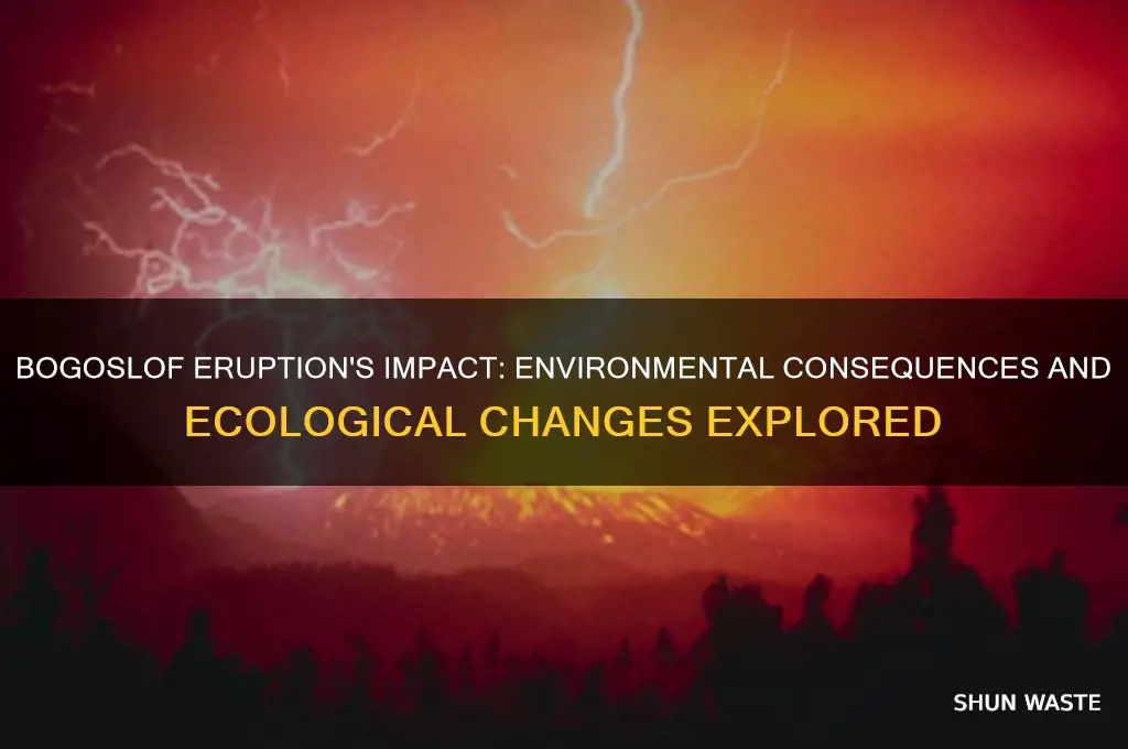 how is the environment affected by bogoslof eruption