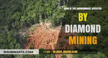 Diamond Mining's Environmental Impact: Destruction, Pollution, and Ecosystem Disruption