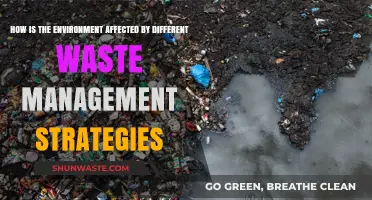 Waste Management Strategies: Environmental Impacts and Sustainable Solutions