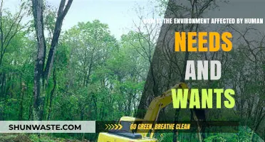 Human Needs vs. Nature: The Environmental Impact of Our Desires