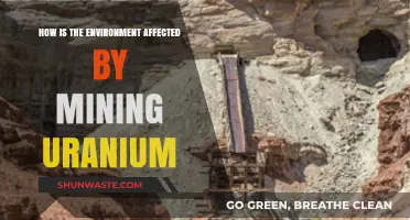 Uranium Mining's Environmental Impact: Exploring Ecological Consequences and Sustainability Challenges