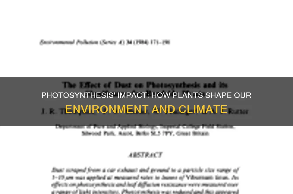 how is the environment affected by photosynthesis